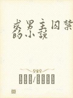 求男主囚禁女主的小说