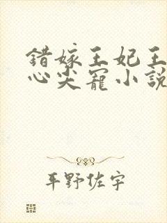 错嫁王妃王爷的心尖宠小说