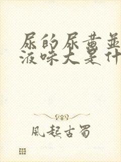 尿的尿黄并且尿液味大是什么原因