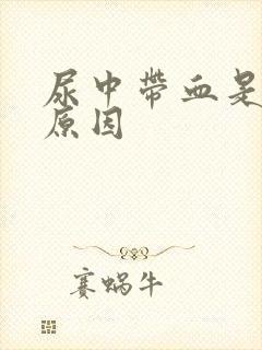 尿中带血是什么原因