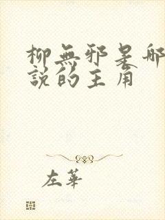 柳无邪是哪本小说的主角