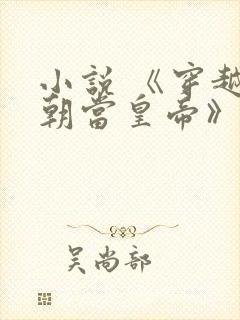 小说 《穿越明朝当皇帝》