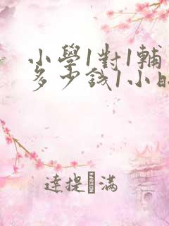 小学1对1辅导多少钱1小时