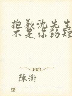 抱歉沈先生孩子不是你的短剧免费观看全集