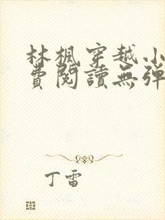 林枫穿越小说免费阅读无弹窗