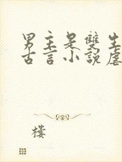 男主是双生子的古言小说虐文