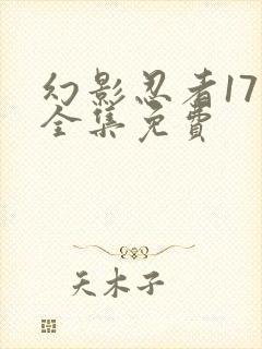 幻影忍者17季全集免费