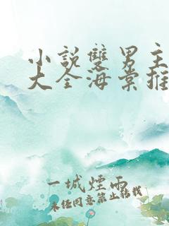 小说双男主免费大全海棠推荐攻受文