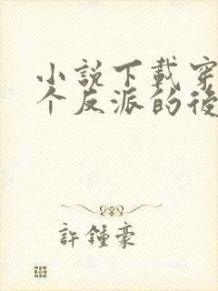 小说下载穿成五个反派的后娘