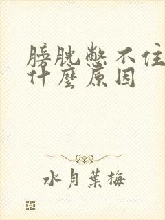 膀胱憋不住尿是什么原因