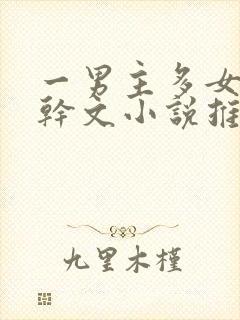 一男主多女主高干文小说推荐