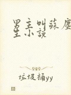 男主叫苏尘的重生小说