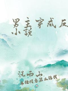 男主穿成反派的小说