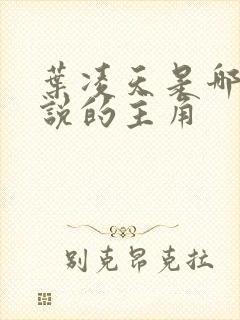 叶凌天是哪部小说的主角