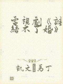 电视剧《谁说我结不了婚》