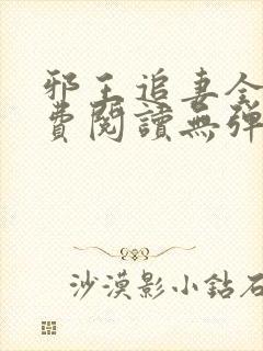 邪王追妻全文免费阅读无弹窗