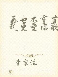 再也不会有人比我更爱你歌词