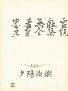 忠者无敌电视剧免费全集观看