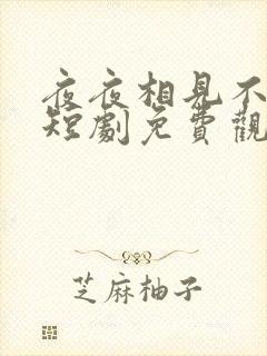 夜夜相见不识君短剧免费观看