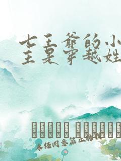 七王爷的小说女主是穿越姓苏