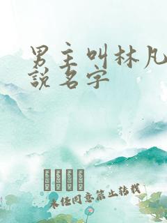 男主叫林凡的小说名字