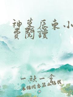 神墓辰东小说免费阅读