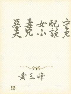 恶毒女配守活寡夫兄小说免费阅读