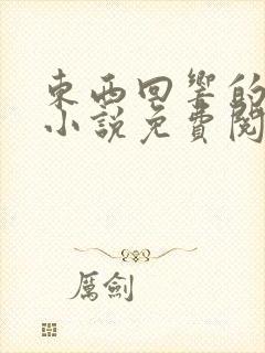 东西回响的原著小说免费阅读