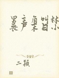 男主角叫林凡的丧尸末日小说