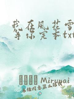 我在风花雪月里等你完本txt下载