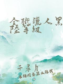 全职猎人黑暗大陆等级