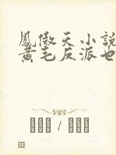 凤傲天小说里的黄毛反派也想要幸福沐恩