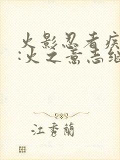 火影忍者疾风传:火之意志继承者