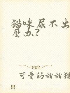 猫咪尿不出尿怎么办?