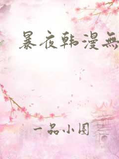暴夜韩漫无删减