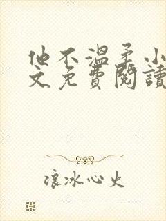 他不温柔小说全文免费阅读无弹窗