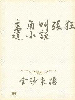 主角叫张狂的黑道小说