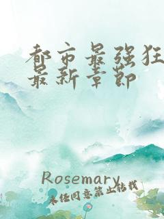 都市最强狂兵 最新章节