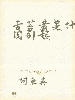 舌苔黄是什么原因引起