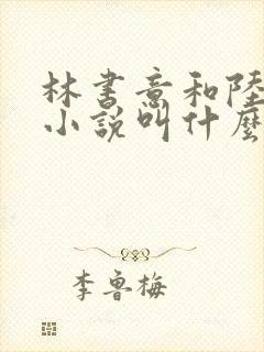 林书意和陆沉的小说叫什么名字