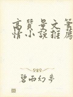 高质量文笔好言情小说推荐