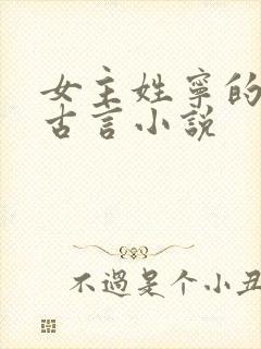 女主姓宁的穿越古言小说