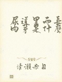 尿道里面长了小肉芽是什么病?