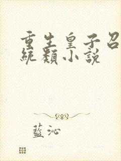 重生皇子召唤系统类小说