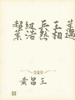 超级兵王叶谦和叶浩然相遇