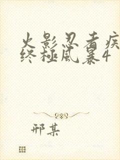 火影忍者疾风传终极风暴4