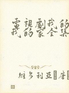 电视剧我的孩子我的家全集免费播放