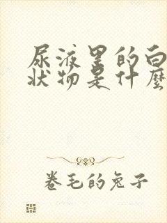 尿液里的白色絮状物是什么