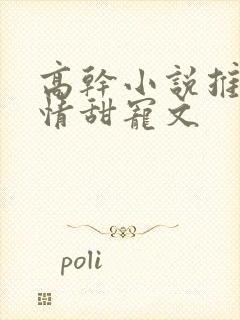 高干小说推荐言情甜宠文