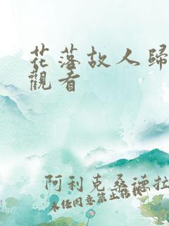 花落故人归免费观看